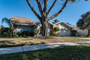 1110 WOODCREST AVENUE, SAFETY HARBOR, FL 34695 - MLS#MFRTB8471640