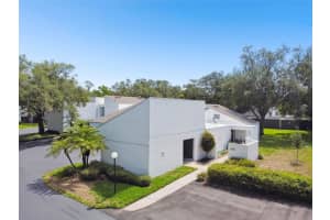 14135 Cypress Cir, TAMPA 14135 Cypress Cir, TAMPA