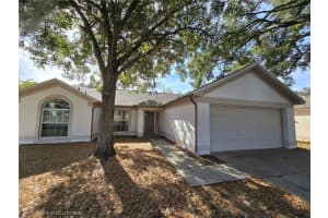 10441 DEEPBROOK DRIVE, RIVERVIEW, FL 33569 - MLS#MFRTB8471669