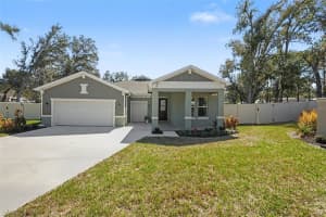 30008 Vienna Woods Ln, WESLEY CHAPEL