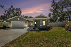 30008 VIENNA WOODS LANE, WESLEY CHAPEL, FL 33545 - MLS#MFRTB8471676