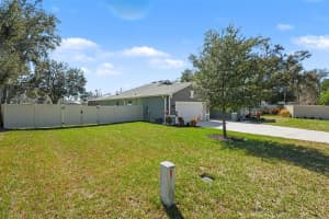 30008 VIENNA WOODS LANE, WESLEY CHAPEL, FL 33545 - MLS#MFRTB8471676