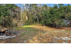 10581 BUCK LANE, FLORAL CITY, FL 34436 - MLS#MFRTB8471689