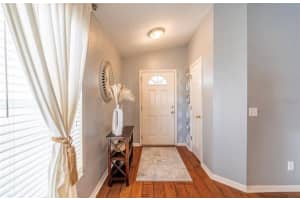 10920 SUBTLE TRAIL DRIVE, RIVERVIEW, FL 33579 - MLS#MFRTB8471699