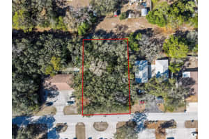 1241 SYLVIA AVENUE, SPRING HILL, FL 34606 - MLS#MFRTB8471721