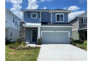 28613 Cozy Creek Dr, WESLEY CHAPEL