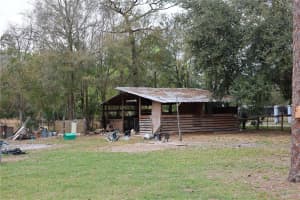 1133 LIVE OAK LANE, LUTZ, FL 33549 Sold 02/20/26