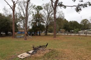 1133 LIVE OAK LANE, LUTZ, FL 33549 Sold 02/20/26