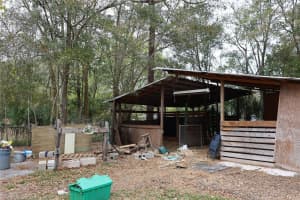 1133 LIVE OAK LANE, LUTZ, FL 33549 Sold 02/20/26