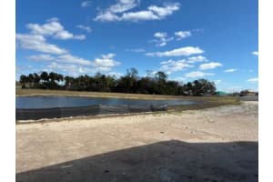 10030 HIDDEN HAMMOCK LOOP, PARRISH, FL 34219 - MLS#MFRTB8471750