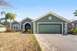 10118 CLEGHORN DRIVE, SAN ANTONIO, FL 33576 - MLS#MFRTB8471776