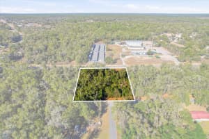 7021 & 7017 LECANTO HIGHWAY, HERNANDO, FL 34442 - MLS#MFRTB8471829