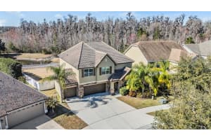 19230 PEPPER GRASS DRIVE, TAMPA, FL 33647 - MLS#MFRTB8471839