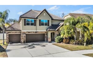 19230 PEPPER GRASS DRIVE, TAMPA, FL 33647 - MLS#MFRTB8471839