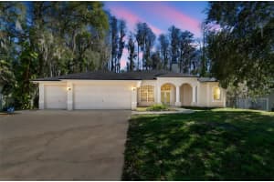 6070 Drexel Rd, LAND O LAKES