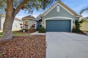 6831 Guilford Bridge Dr, APOLLO BEACH