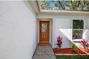 228 REGAL PARK DRIVE, VALRICO, FL 33594 - MLS#MFRTB8471860