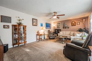 2634 10TH COURT, PALM HARBOR, FL 34684 - MLS#MFRTB8471920