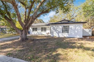 204 CIRCLE HILL DRIVE, BRANDON, FL 33510 - MLS#MFRTB8471929