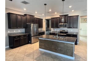 19095 ANDREA LYNN LANE, LAND O LAKES, FL 34638 - MLS#MFRTB8471941