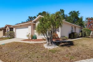 10933 BELMONT DRIVE, NEW PORT RICHEY, FL 34654 - MLS#MFRTB8471963