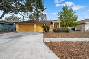 11301 Andy Dr, RIVERVIEW