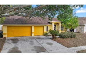 11301 ANDY DRIVE, RIVERVIEW, FL 33569 - MLS#MFRTB8471965