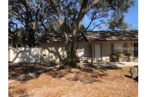 187 MARGIE STREET, PALM HARBOR, FL 34683 - MLS#MFRTB8471979