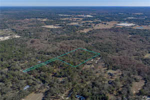 00 ROWNTREE DRIVE, DADE CITY, FL 33523 - MLS#MFRTB8471989