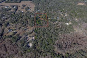 0 ROWNTREE DRIVE, DADE CITY, FL 33523 - MLS#MFRTB8471994