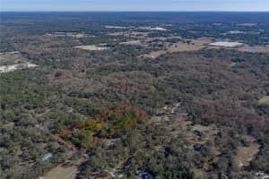 0 ROWNTREE DRIVE, DADE CITY, FL 33523 - MLS#MFRTB8471994