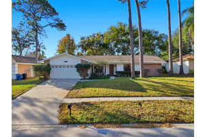 3431 Deerfield Ln, CLEARWATER 3431 Deerfield Ln, CLEARWATER