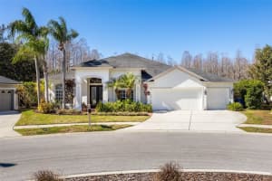 19817 Glazing Globe Ln, LUTZ