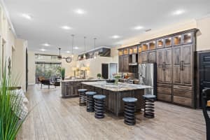 19817 GLAZING GLOBE LANE, LUTZ, FL 33558 - MLS#MFRTB8472045