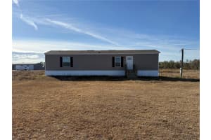 15807 COUNTY ROAD 672, LITHIA, FL 33547 - MLS#MFRTB8472053