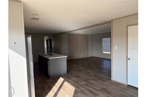 15807 COUNTY ROAD 672, LITHIA, FL 33547 - MLS#MFRTB8472053