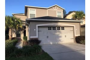 7821 Tuscany Woods Dr, TAMPA