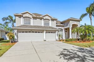 20817 Cedar Bluff Pl, LAND O LAKES