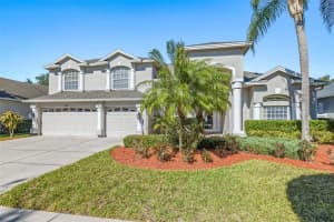 20817 CEDAR BLUFF PLACE, LAND O LAKES, FL 34638 - MLS#MFRTB8472169