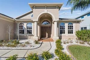 2328 BRINLEY DRIVE, TRINITY, FL 34655 - MLS#MFRTB8472186