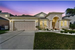 2328 BRINLEY DRIVE, TRINITY, FL 34655 - MLS#MFRTB8472186