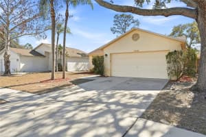 11106 WINDPOINT DRIVE, TAMPA, FL 33635 - MLS#MFRTB8472212