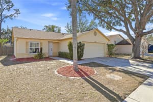 11106 WINDPOINT DRIVE, TAMPA, FL 33635 - MLS#MFRTB8472212