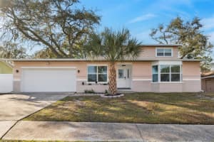 3309 BRIARWOOD LANE, SAFETY HARBOR, FL 34695 - MLS#MFRTB8472219