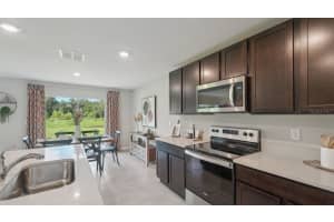 17563 ACORN DROP ROAD, LAND O LAKES, FL 34638 - MLS#MFRTB8472239