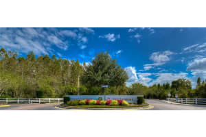 1019 TULLAMORE DRIVE, WESLEY CHAPEL, FL 33543 - MLS#MFRTB8472273