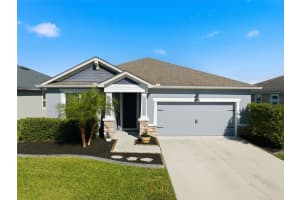 12926 Satin Lily Dr, RIVERVIEW 12926 Satin Lily Dr, RIVERVIEW