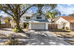 12604 Rain Forest St, TEMPLE TERRACE