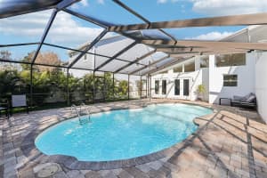 4204 JETTON AVENUE, TAMPA, FL 33629 - MLS#MFRTB8472315