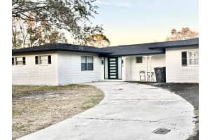 4911 Shetland Ave, TAMPA